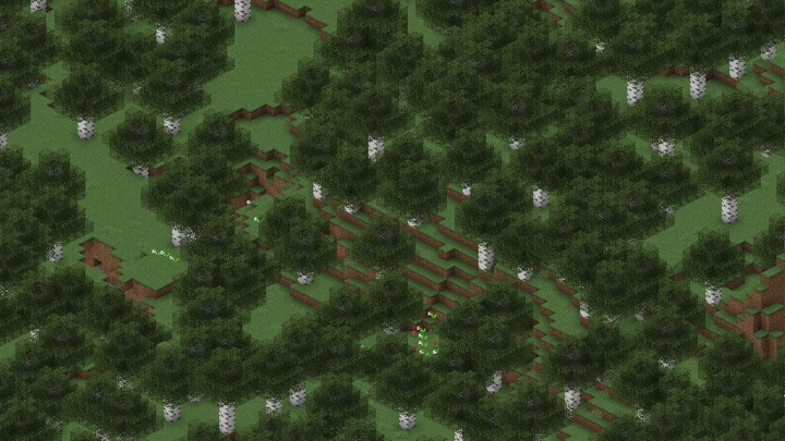 ป่าเบิร์ช (Birch Forest)