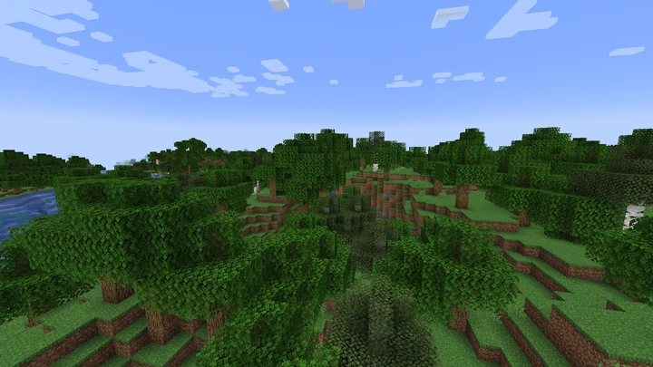 ป่า (Forest)
