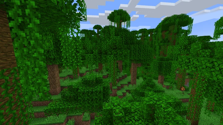 ป่าดงดิบ (Jungle)