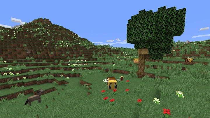 ทุ่งดอกไม้ (Meadow)