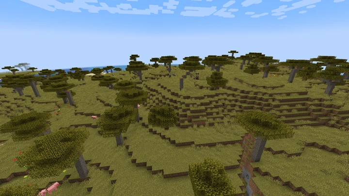 ซาวันนา (Savanna)