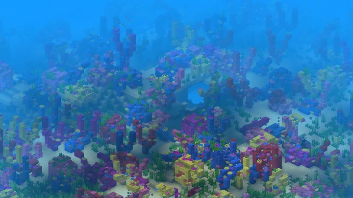 มหาสมุทรอุ่น (Warm Ocean)