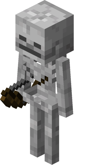 โครงกระดูก (Skeleton)