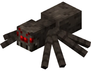 แมงมุม (Spider)